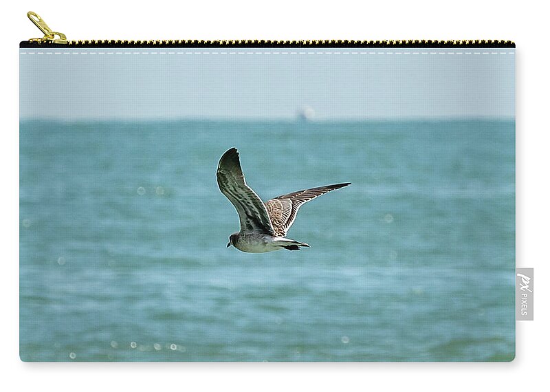 Ocean Zip Pouch featuring the photograph Soaring Gull in Virginia Beach by Donna Twiford