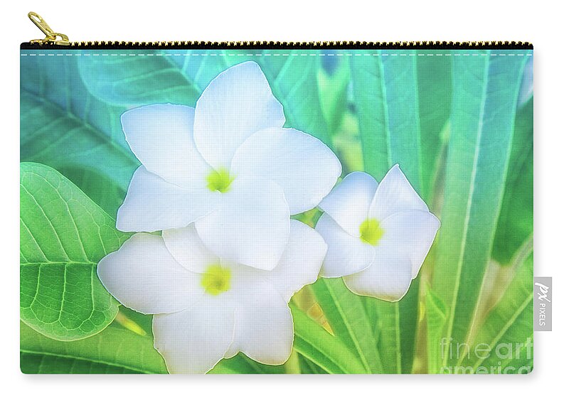 Botanical Carry-all Pouch featuring the photograph Soft and Light 12 by Becqi Sherman