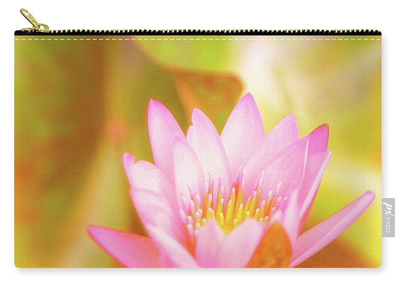 Pink Flower Zip Pouch featuring the photograph Soft and Light 4 by Becqi Sherman