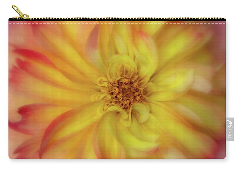 Dahlia Zip Pouch featuring the photograph Soft Curves Dahlia by Mary Jo Allen