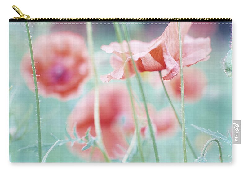 Belgium Zip Pouch featuring the photograph Soft Focus Close-up Of Red Corn Poppy by Eschcollection