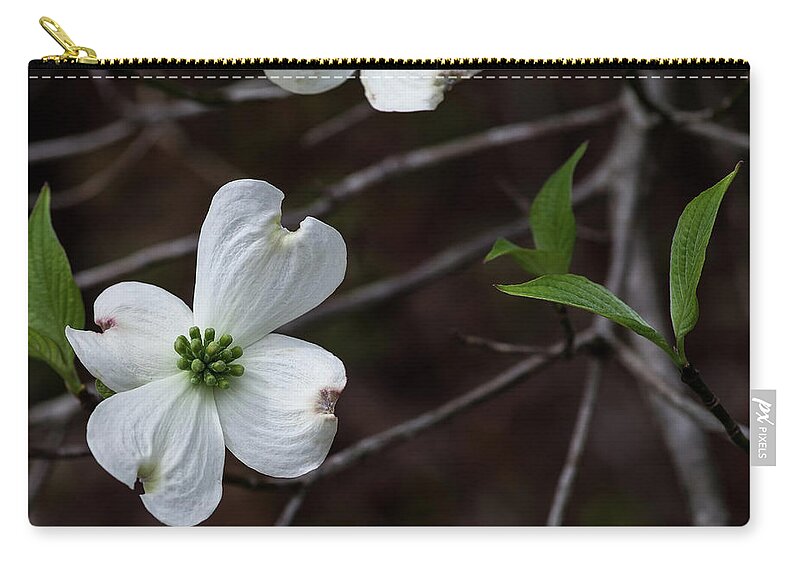 Floral Zip Pouch featuring the photograph Solo Dogwood by Thomas Whitehurst