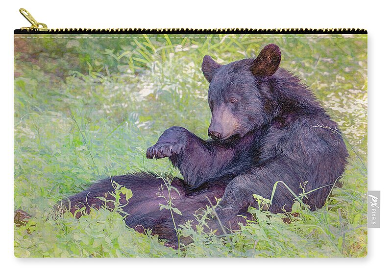  Zip Pouch featuring the photograph Sometimes a Bear Just Needs A Little Rest by Marcy Wielfaert