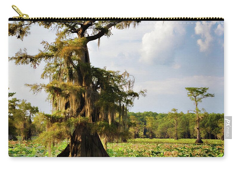Bald Cypress Zip Pouch featuring the photograph Southern Canopy by Lana Trussell