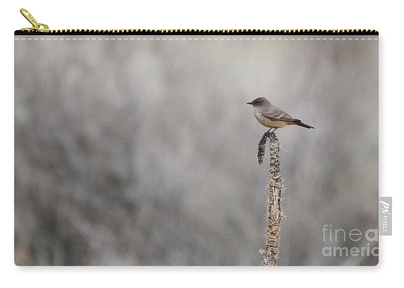 Bird Zip Pouch featuring the photograph Southwest Bird Landscape by Robert WK Clark
