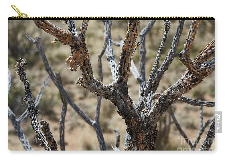 New Mexico Desert Zip Pouch featuring the photograph Southwest Cactus Wood by Robert WK Clark