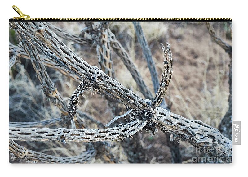 New Mexico Desert Zip Pouch featuring the photograph Southwest Dead Cactus by Robert WK Clark