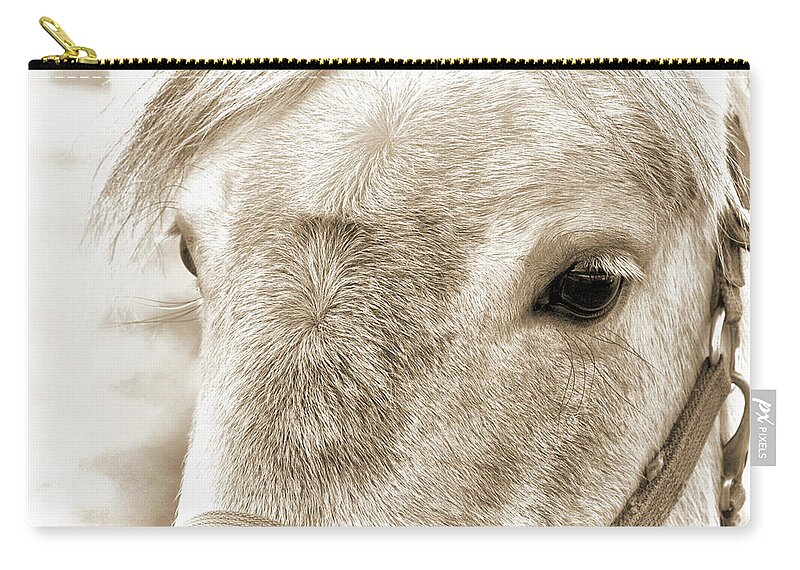 Anything Zip Pouch featuring the photograph Special Gray Art by Dressage Design