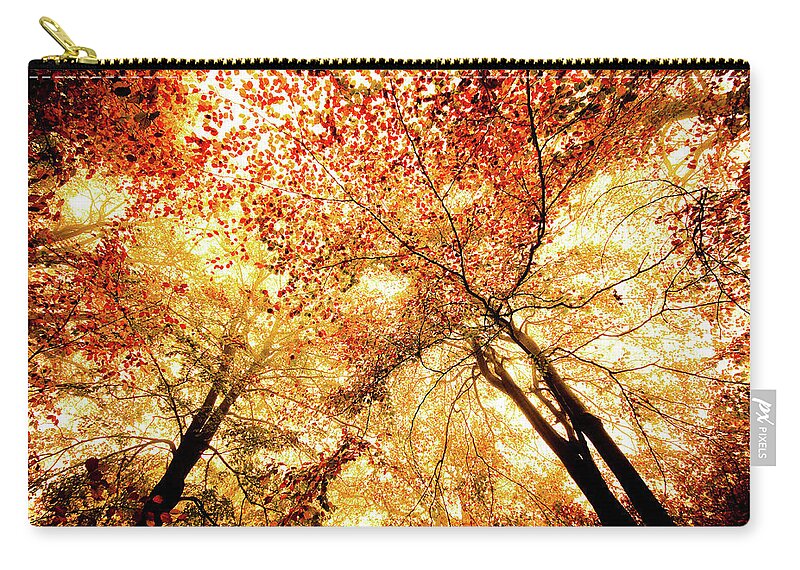 Tranquility Zip Pouch featuring the photograph Spectrum by Dylan Borck