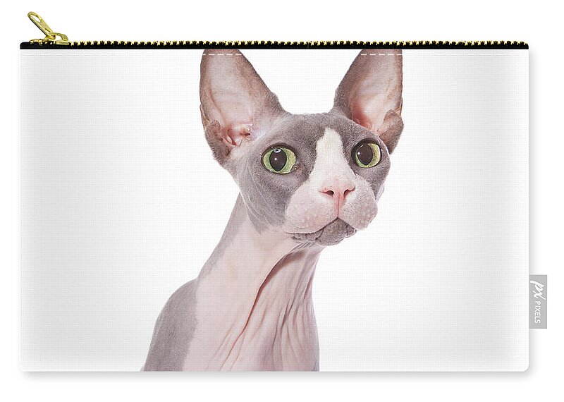 Pets Zip Pouch featuring the photograph Sphynx Cat With Surprised Expression by Hollenderx2