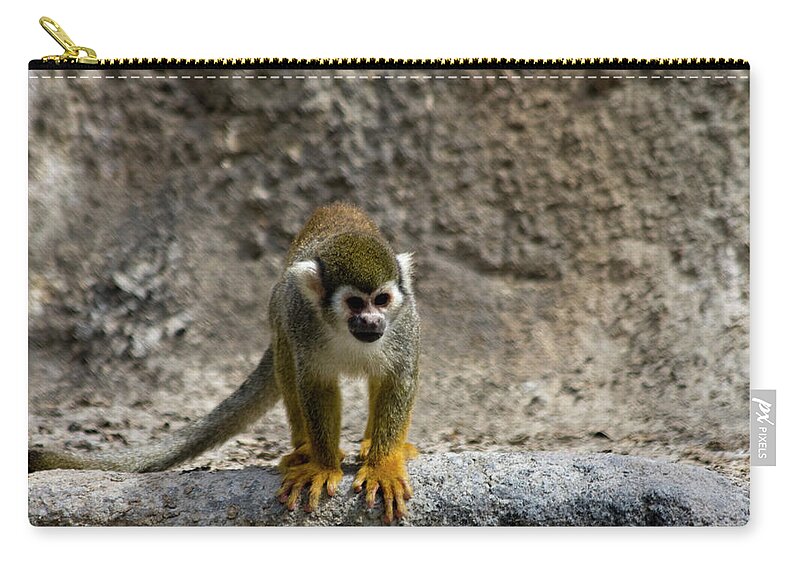 Animal Themes Zip Pouch featuring the photograph Spider Monkey On Rock by Bridget Coila