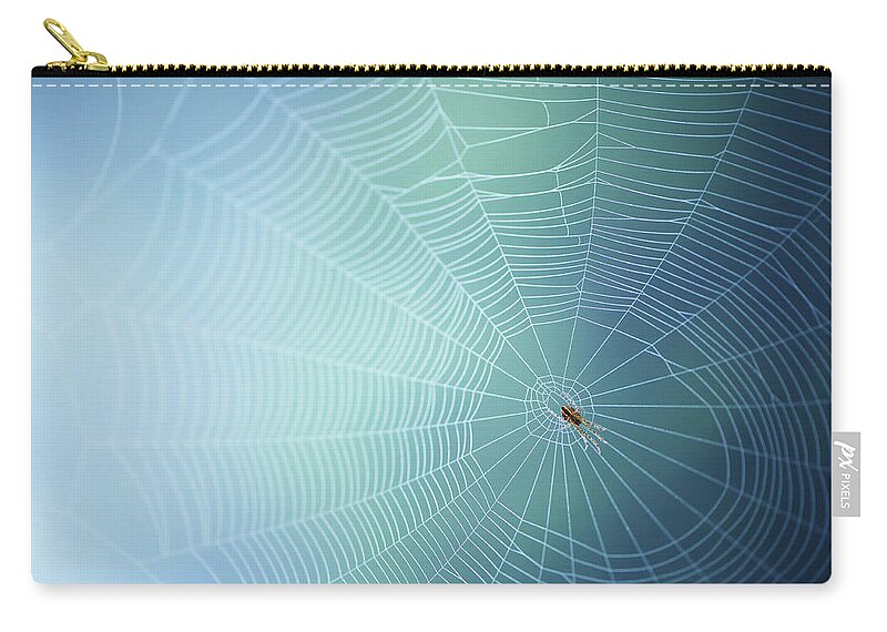 Insect Zip Pouch featuring the photograph Spiders Web With Spider by Elisabeth Schmitt