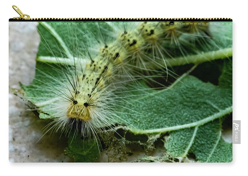 Caterpillar Carry-all Pouch featuring the photograph Spike by Cathy Kovarik