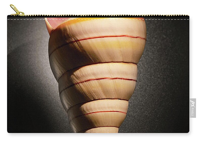 Mollusk Zip Pouch featuring the photograph Spiral Shell On Matte Glass by Chris Collins