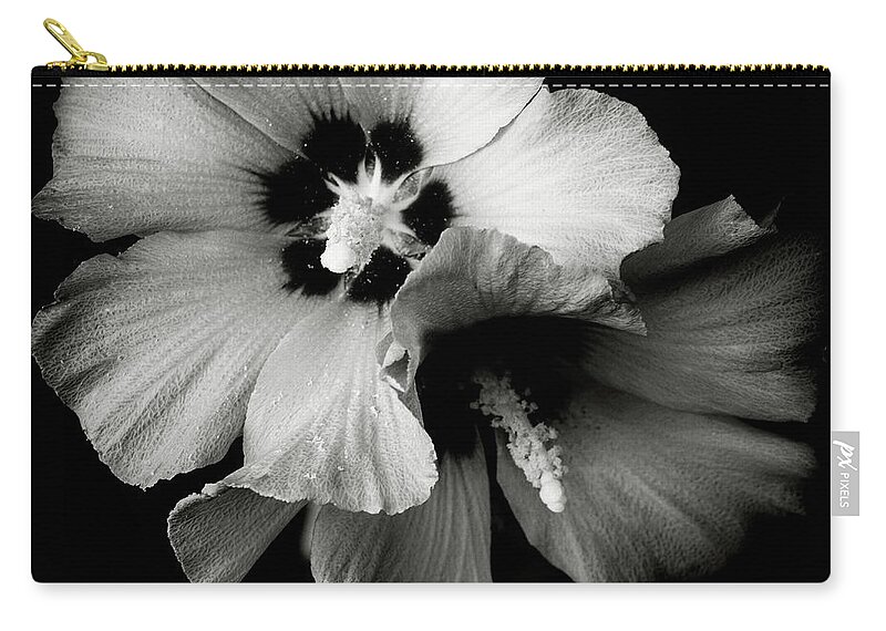 Nature Zip Pouch featuring the photograph Spotlight Series Two by Darlene Kwiatkowski