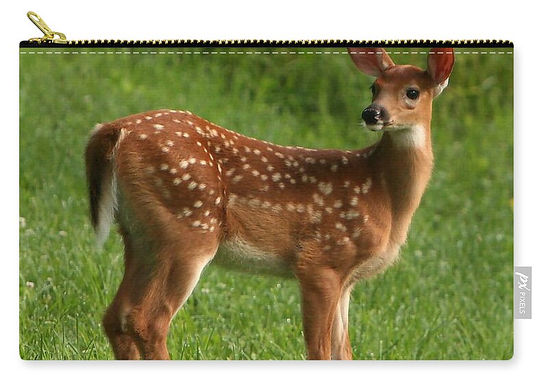 Grass Zip Pouch featuring the photograph Spotted Fawn by Spiraling Road Photography