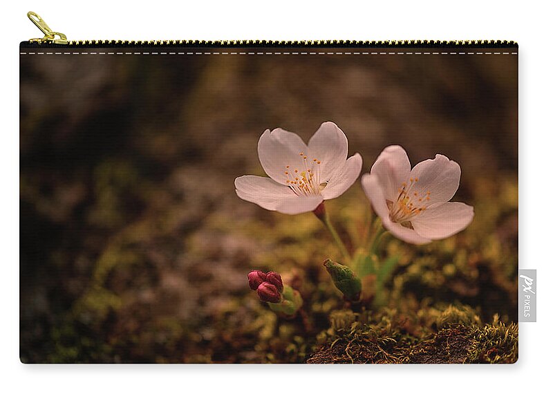 University Of Washington Zip Pouch featuring the photograph Spring Arrival in Seattle by Dan Mihai