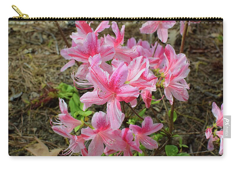 Azalea Carry-all Pouch featuring the photograph Spring Azaleas in Pink by Nicole Lloyd