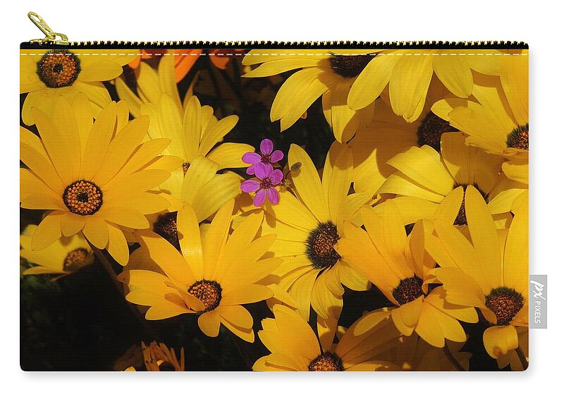 African Daisies Zip Pouch featuring the photograph Spring in the neighborhood by Helen Carson
