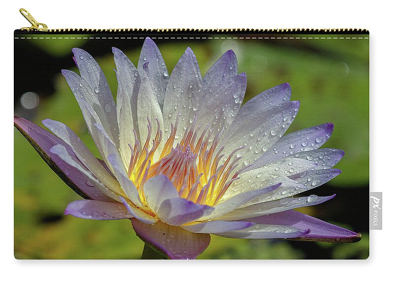Flower Zip Pouch featuring the photograph Spring by Les Greenwood