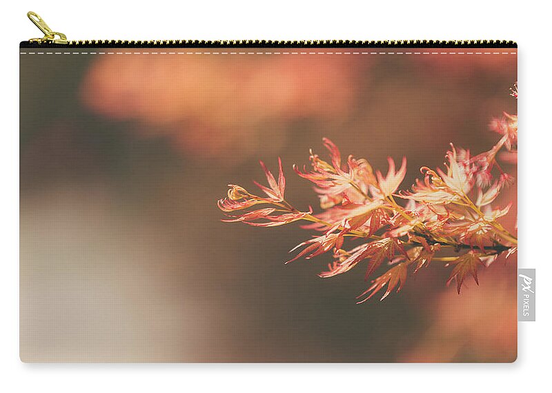  Zip Pouch featuring the photograph Spring or Fall by Dheeraj Mutha