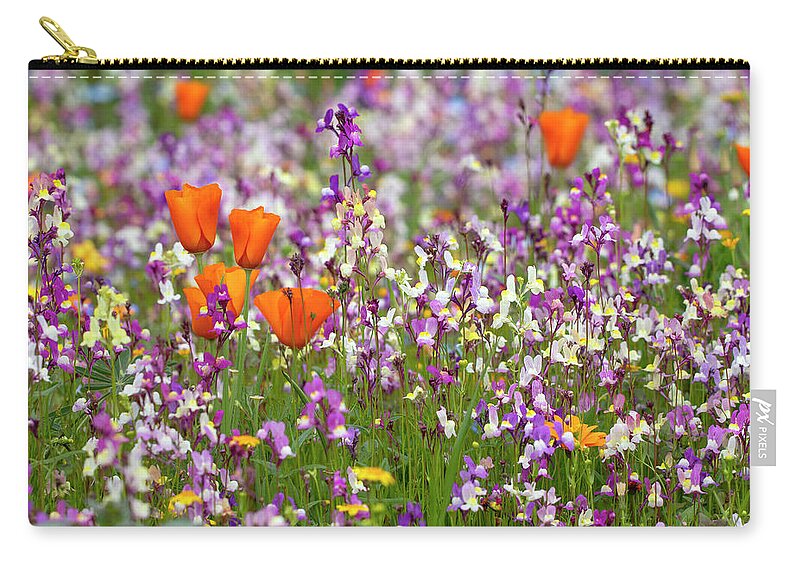 Poppies Zip Pouch featuring the photograph Spring to Life by Vanessa Thomas