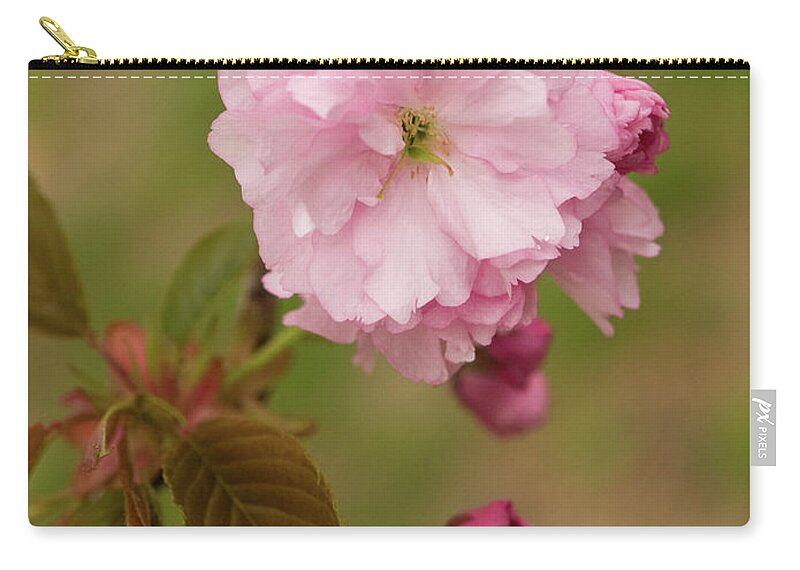 Central Park Zip Pouch featuring the photograph Springtime Blossoms In Central Park 10 by Dorothy Lee