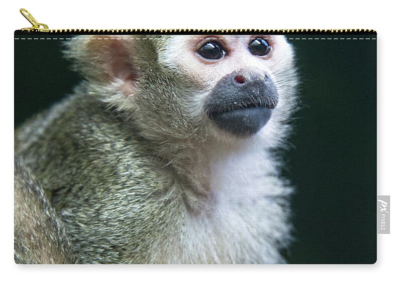 One Animal Zip Pouch featuring the photograph Squirrel Monkey by Mark Newman