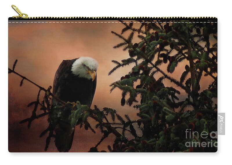 Eagle Zip Pouch featuring the photograph Stalking by Janie Johnson