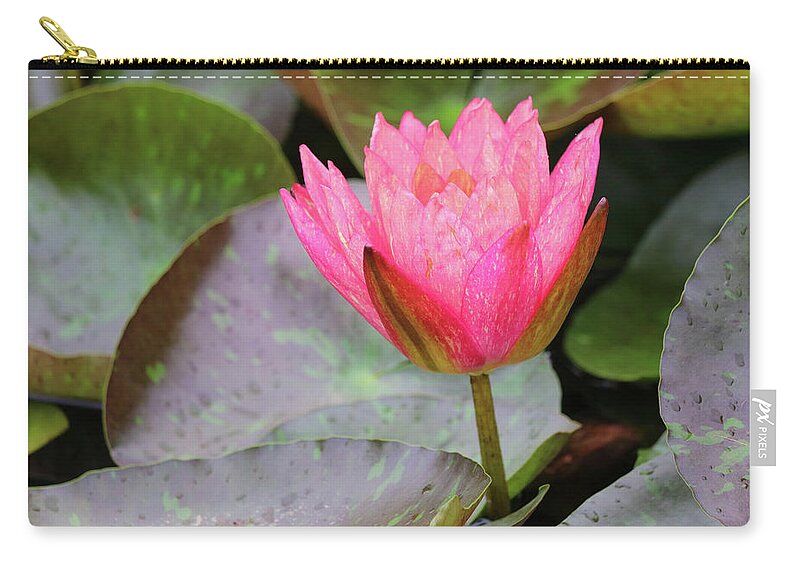Water Lily Zip Pouch featuring the photograph Standing Firm by Mary Anne Delgado
