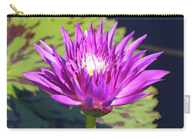 Nature Zip Pouch featuring the photograph Standing Tall by Bruce Bley