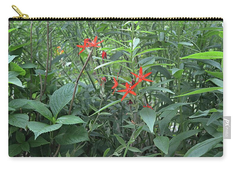Flower Zip Pouch featuring the photograph Stars Among The Foliage by Aimee L Maher ALM GALLERY