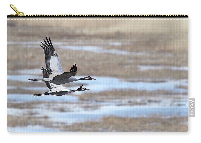 Grus Grus Zip Pouch featuring the photograph Stay close my love. Eurasian crane by Jouko Lehto