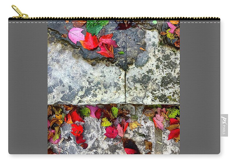 Leaves Zip Pouch featuring the photograph Stone, Steps Showily Seasoned by Terri Hart-Ellis