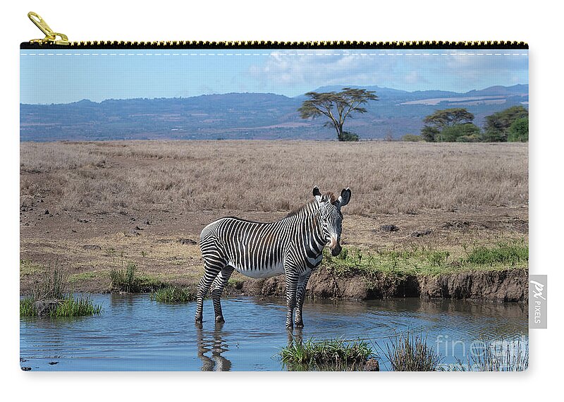 Wildlife Zip Pouch featuring the photograph Striking A Pose by Sandra Bronstein