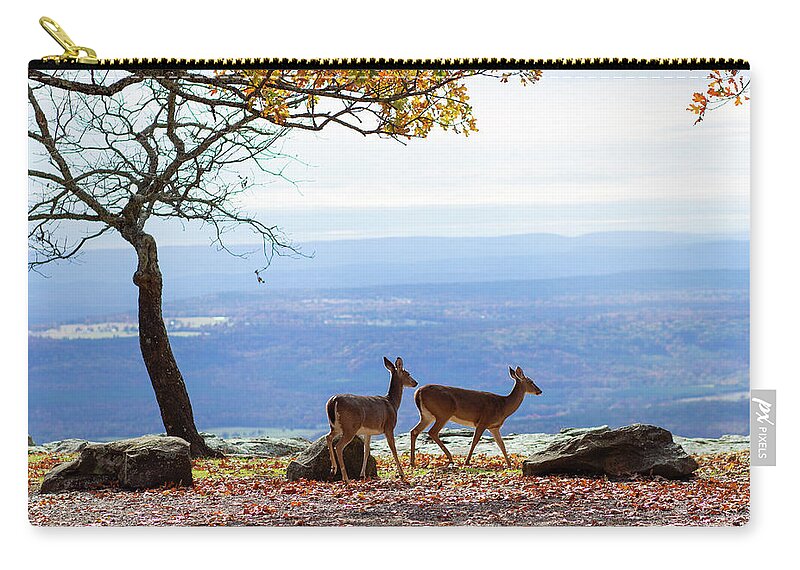 Deer Zip Pouch featuring the photograph Strolling Mount Nebo by Tammy Chesney