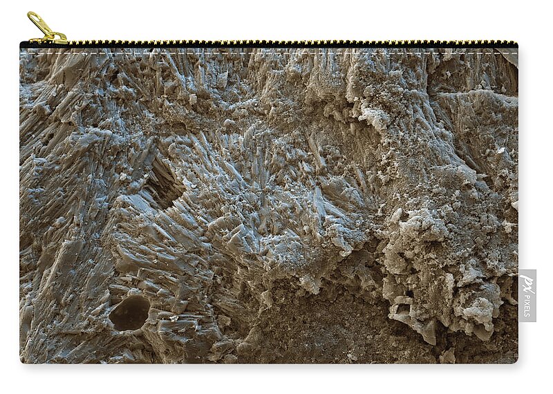 Algae Zip Pouch featuring the photograph Stromatolites by Meckes/ottawa