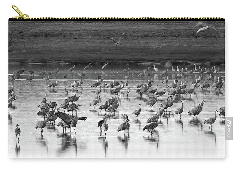 Richard E. Porter Zip Pouch featuring the photograph Strutting - Muleshoe Wildlife Refuge, Texas by Richard Porter