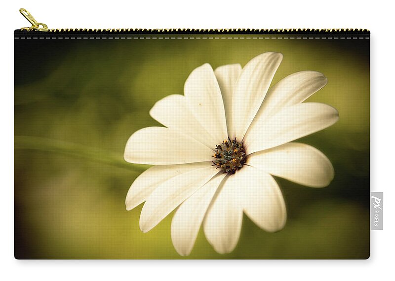 Petal Zip Pouch featuring the photograph Stunning Soft White Flower - Daisy by (c) Harold Lloyd