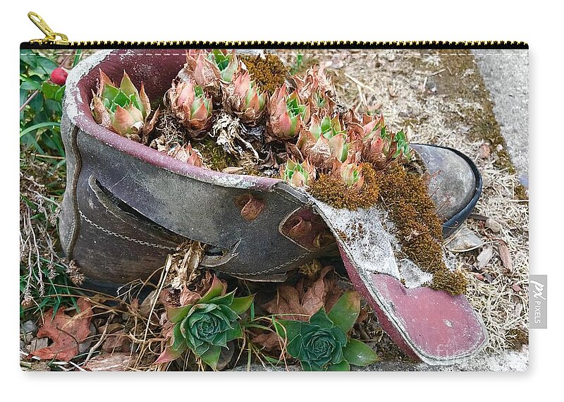 Succulents Zip Pouch featuring the photograph Succulents in a Boot by Suzanne Lorenz