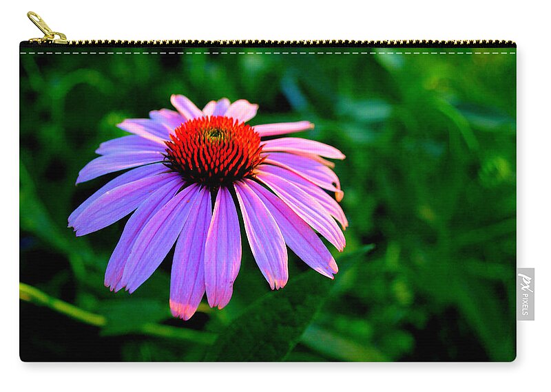 Photograph Zip Pouch featuring the photograph Summer Garden Cone Flower by Janis Kirstein