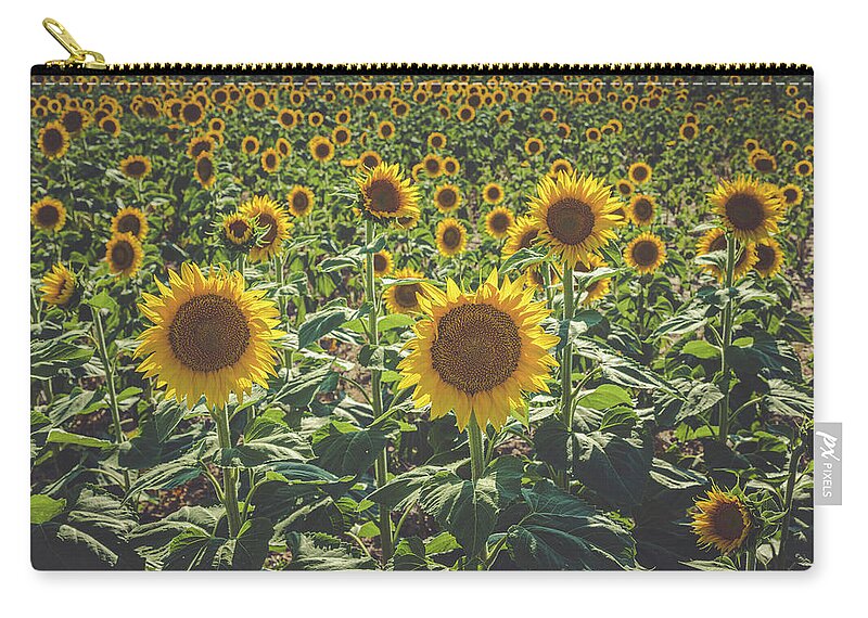 Colorado Zip Pouch featuring the photograph Summer in the Sunflower Fields by Teri Virbickis