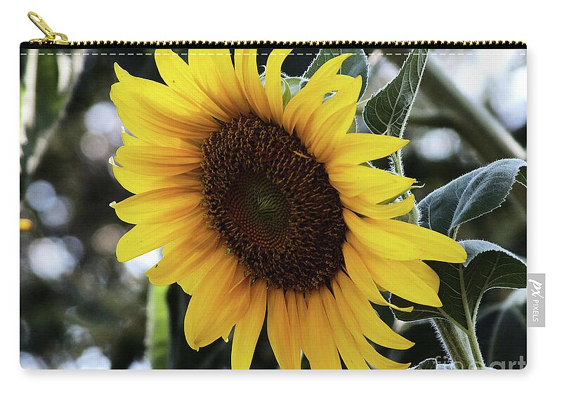 Flower Zip Pouch featuring the digital art Sun flower by Yenni Harrison