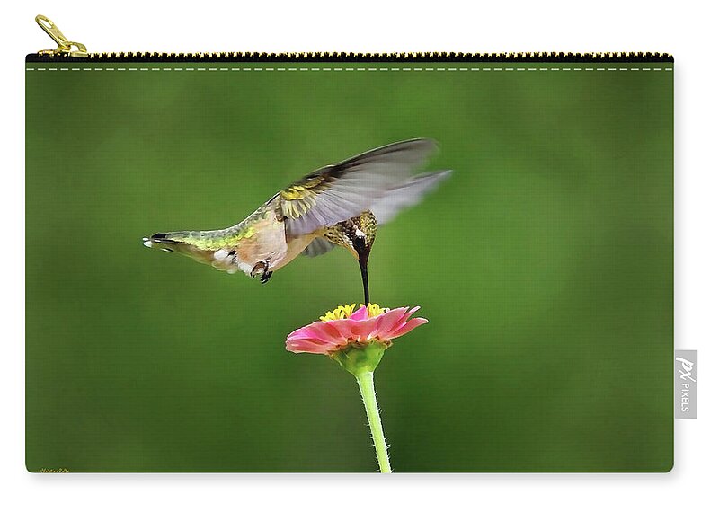 Hummingbird Zip Pouch featuring the photograph Sun Sweet by Christina Rollo
