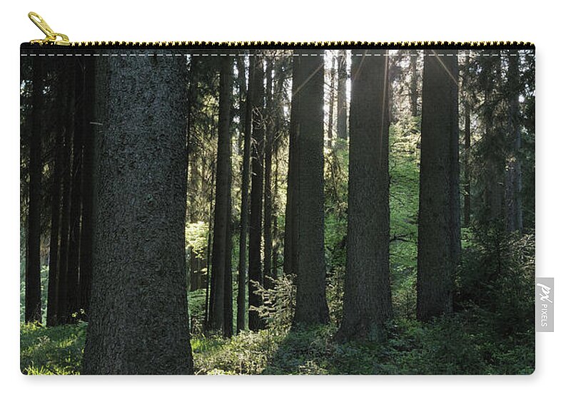 Scenics Zip Pouch featuring the photograph Sunbeams In Forest by Martin Ruegner