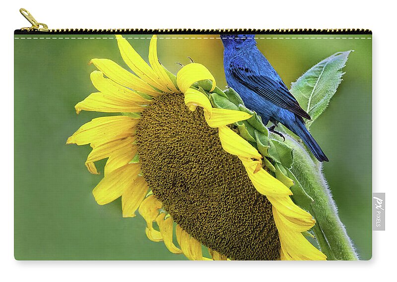 Sunflower Zip Pouch featuring the photograph Sunflower Blue by Art Cole