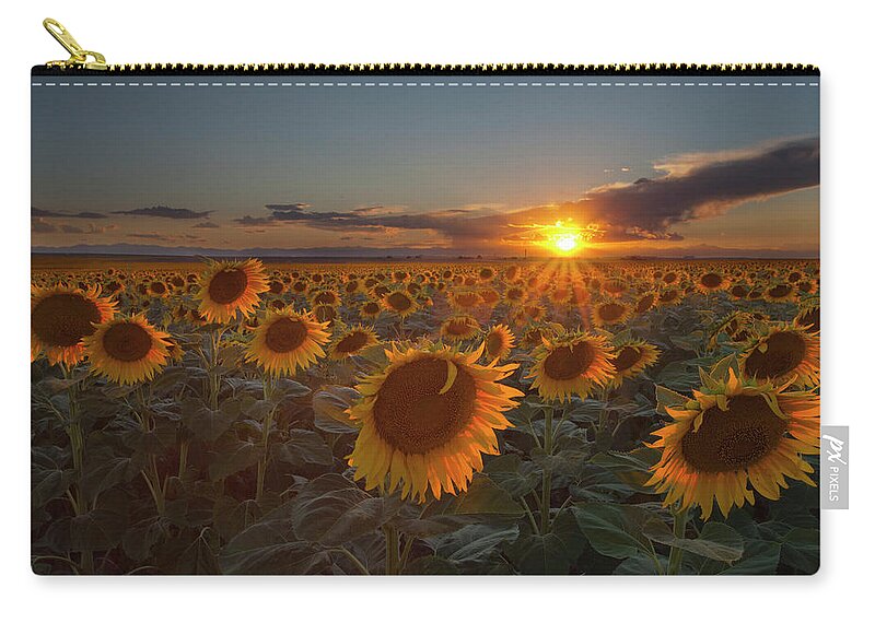 Petal Zip Pouch featuring the photograph Sunflower Field - Colorado by Lightvision, Llc