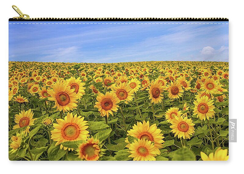 Scenics Zip Pouch featuring the photograph Sunflower Fields by Agustin Rafael C. Reyes