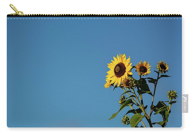 Nature Zip Pouch featuring the photograph Sunflower Morning by Douglas Wielfaert