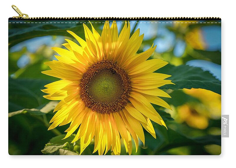Flower Zip Pouch featuring the photograph Sunflower by Susan Rydberg